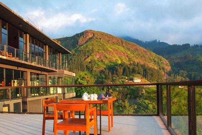 Explore Nuwara Eliya | Experience the Best Tea in the World - A tea-focused afternoon in Nuwara Eliya