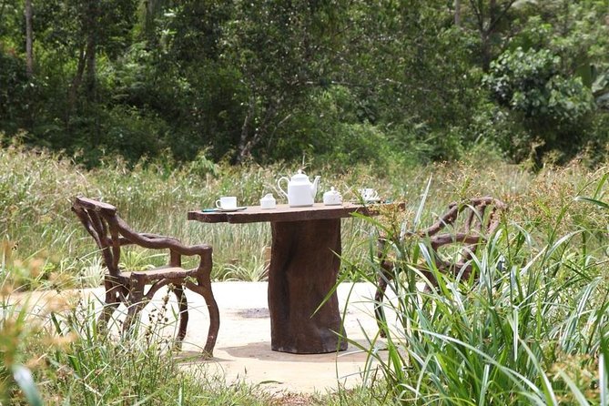 'Explore Sinharaja' rainforest - Discovery Tour (half day) - Key things to know before you go