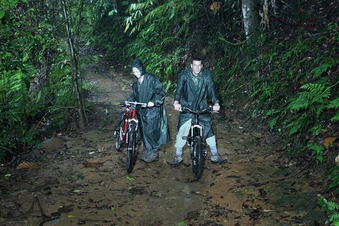 'Explore Sinharaja' rainforest - Discovery Tour (half day) - Sinharaja Rainforest: what you’re really stepping into
