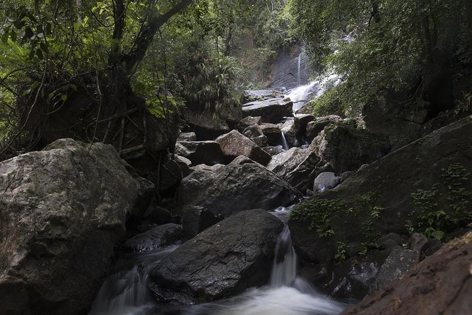 'Explore Sinharaja' rainforest - Discovery Tour (half day) - Leeches, rain gear, and how to make the rainforest feel manageable
