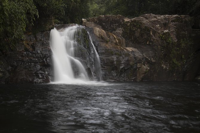 'Explore Sinharaja' rainforest - Discovery Tour (half day) - Price and value for a private rainforest day in Galle