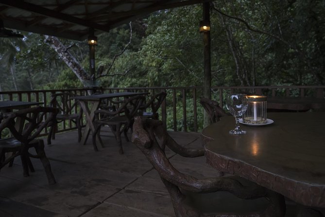 'Explore Sinharaja' rainforest - Discovery Tour (half day) - Should you book this Explore Sinharaja tour?