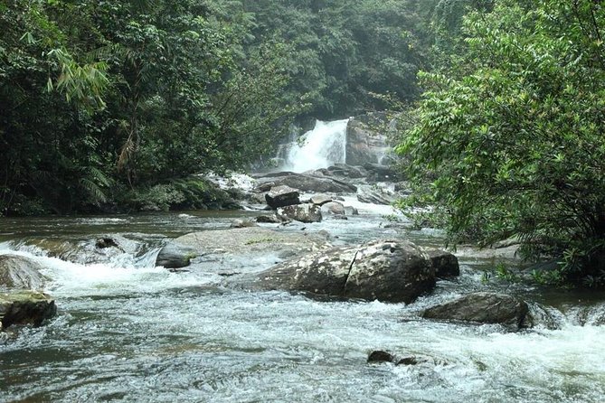 'Explore Sinharaja' rainforest - Discovery Tour (half day) - The 7:30 am start, easy trail, and wildlife-spotting with binoculars