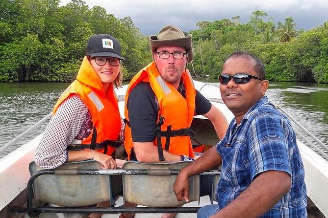 Explore the Beauty of South Coast in One Day - Kosgoda Sea Turtle Conservation Project: what conservation looks like up close
