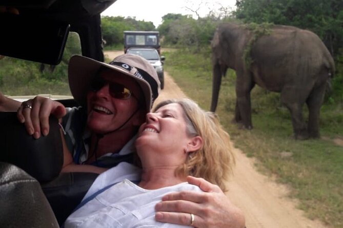 Explore The Beauty Of Udawalawe National Park From South Coast During 01 Day - Half-day Udawalawe safari: what a focused 4 hours gets you