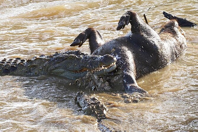 Explore The Beauty Of Udawalawe National Park From South Coast During 01 Day - Who should book this Udawalawe safari from the south coast