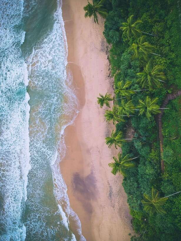 Explore the MAGIC of Sri Lanka in 7days -4 Star hotels Incl. - Day 1: Pidurangala Rock and that first Sri Lanka welcome