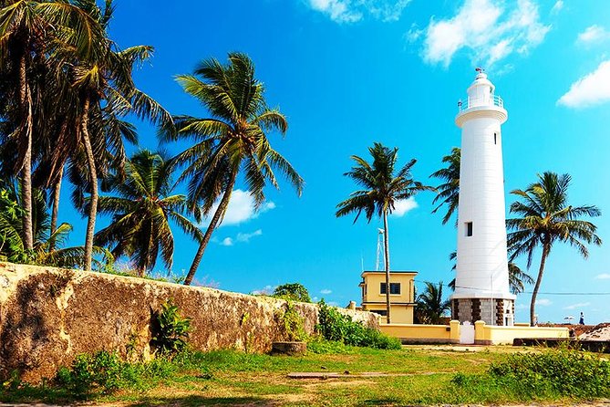 Family-Friendly Private Galle City Tour - Hikkaduwa’s turtles and stilt fishermen: the coast’s easiest wins