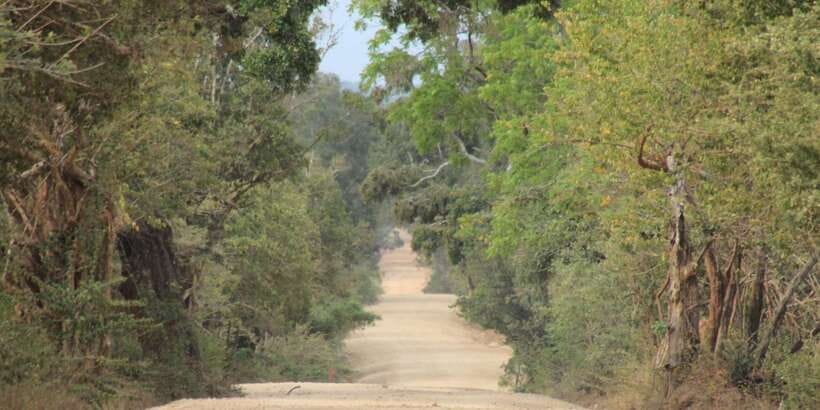 From: Ahungalla/Ambalangoda/Kosgoda/Balapitiya - YALA Safari - Price and value: what $105 really covers (and what it doesn’t)