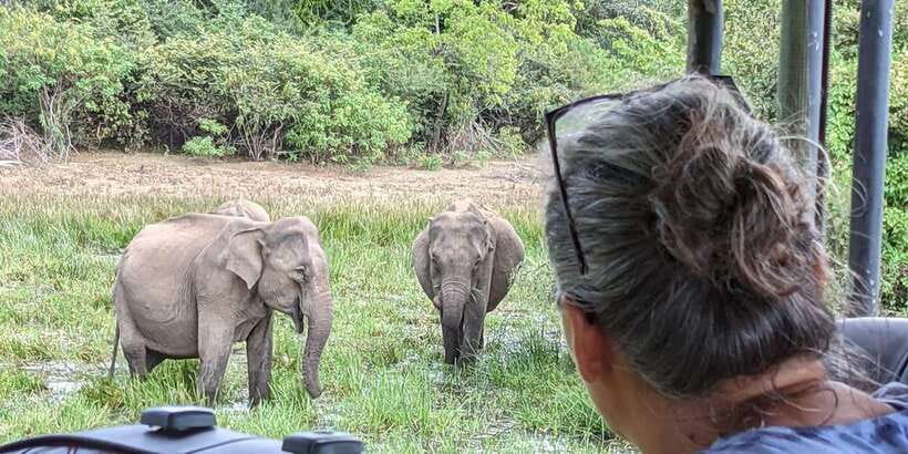 From Arugambay : Yala National Park Safari & Dropoff in Ella - Price And Value: What You Pay For (And What You Don’t)