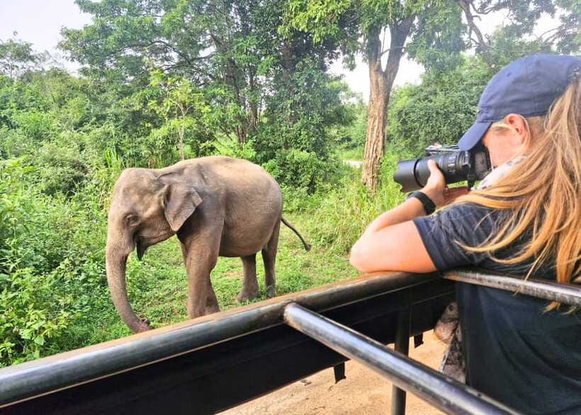 From Bentota: Elephant Transit Camp and Udawalawe Safari - Ambalangoda mask museum: understanding masks beyond the colors