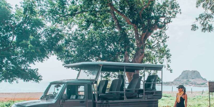 From Bentota: Full-Day Yala National Park Safari Tour - Price and park fees: is $105 good value?