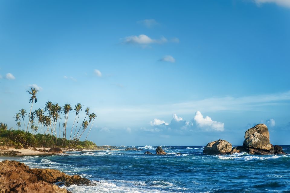 From Colombo: Day Trip to Galle City, Koggala and Unawatuna - What to Bring So You Don’t Spend the Day Rushing