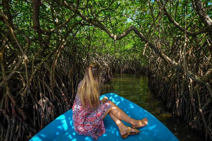 From Colombo: Galle, Bentota Coastal Highlights Private Tour - Key Things I’d Bet on Before You Go