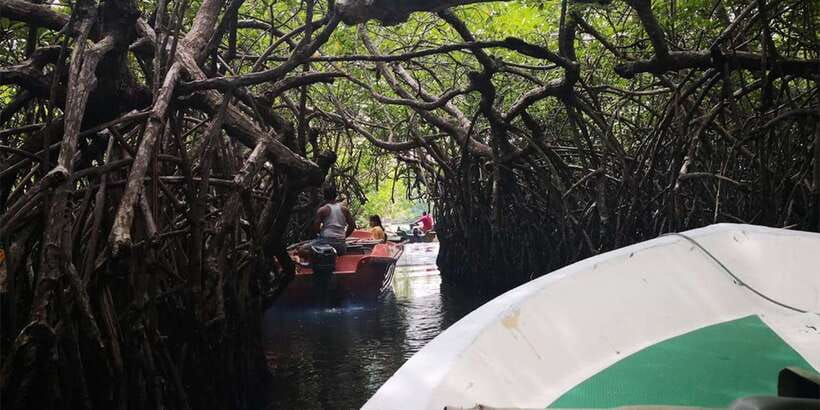 From Colombo: Handungoda, Galle, Ahangama, & Kosgoda Tour - Key highlights you actually care about