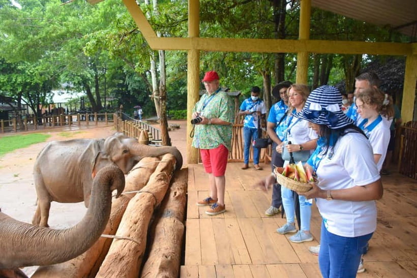 From Colombo: Kandy and Pinnawala Orphanage Short Excursions - Peradeniya Botanical Gardens: a 147-acre breather with iconic plants