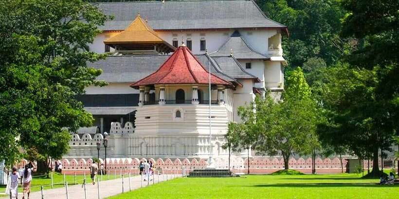 From Colombo: Kandy Full-Day Trip - Royal Botanic Gardens, Kandy: orchids, spices, and optional buggy time