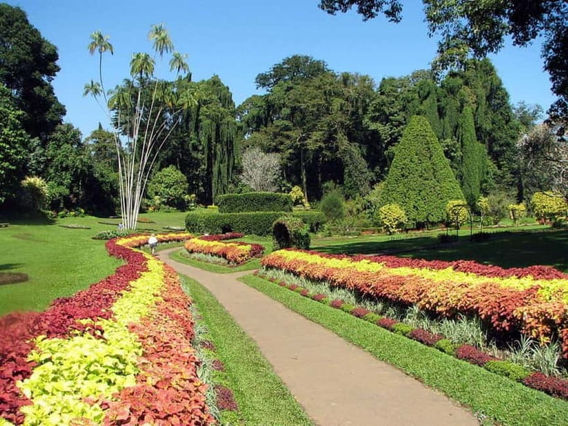 From Colombo: Kandy, Pinnawala and Tea Factory Full-Day Trip - Price and value: what $51 really buys you