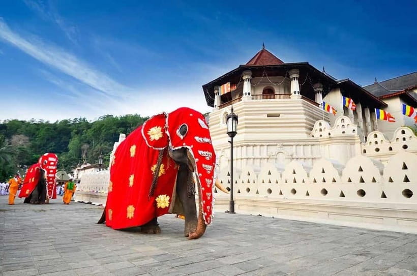 From Colombo: Kandy, Pinnawala and Tea Factory Full-Day Trip - A one-day Colombo to Kandy “greatest hits” plan that works