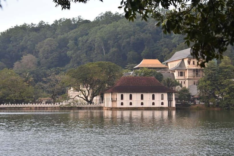 From Colombo: Kandy, Pinnawala and Tea Factory Full-Day Trip - Temple of the Sacred Tooth Relic: UNESCO impact plus strict dress rules