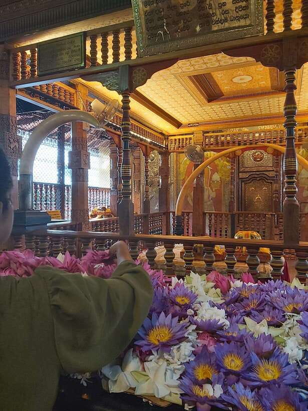From Colombo: Kandy Temples and Pinnawala Full-Day Tour - Key highlights worth your attention
