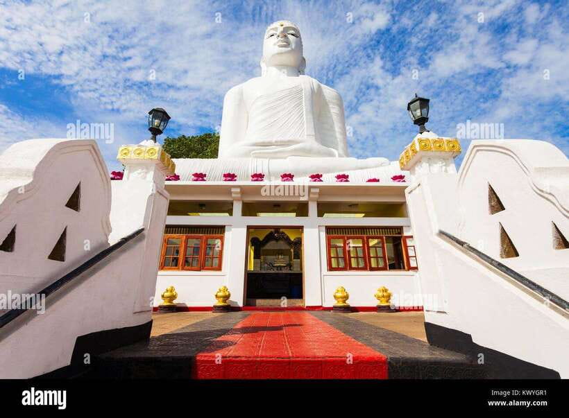 From Colombo: Kandy Temples and Pinnawala Full-Day Tour - Price and value around $54: what’s included, what’s extra