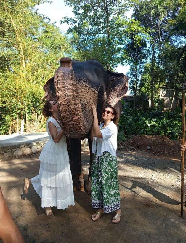 From Colombo or Negombo: Pinnawala, Kandy & Tea Factory Tour - Colombo or Negombo to the Hill Country: how the drive shapes your day