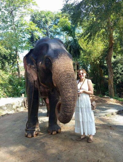 From Colombo or Negombo: Pinnawala, Kandy & Tea Factory Tour - Pinnawala Elephant Orphanage: river-bath viewing with real photo potential