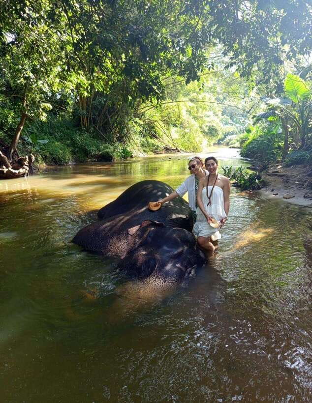 From Colombo or Negombo: Pinnawala, Kandy & Tea Factory Tour - Kandyan Cultural Centre: a guided taste, then time on your feet
