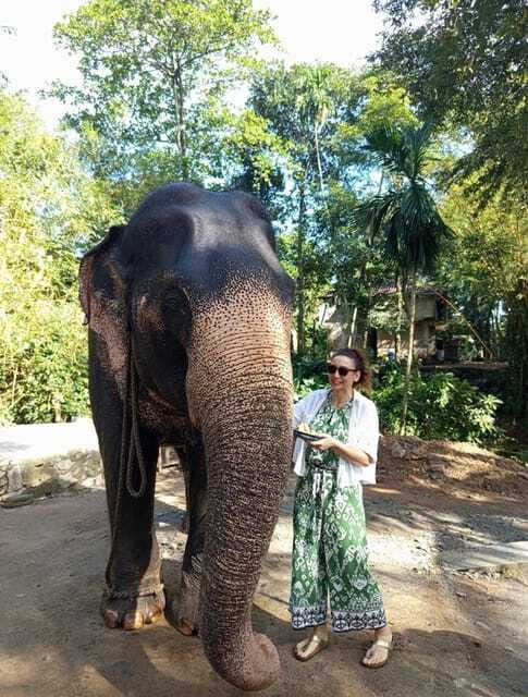 From Colombo or Negombo: Pinnawala, Kandy & Tea Factory Tour - Gem factory and batik craft stops: souvenirs with a story (and a shopping plan)