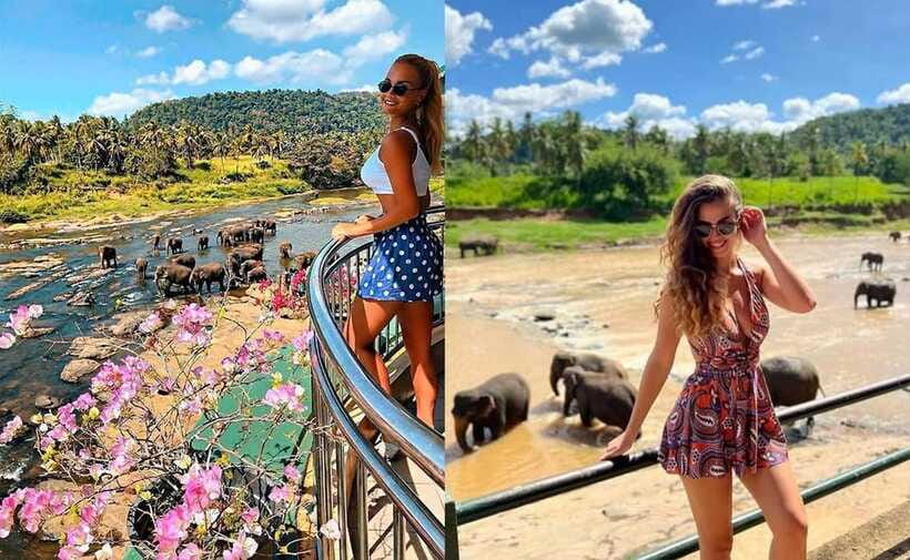 From Colombo: Pinnawala & Tea factory with Kandy Hotel Drop - A Real-World Warning: Skip Maharaja Elephant No17 If You’re Offered It