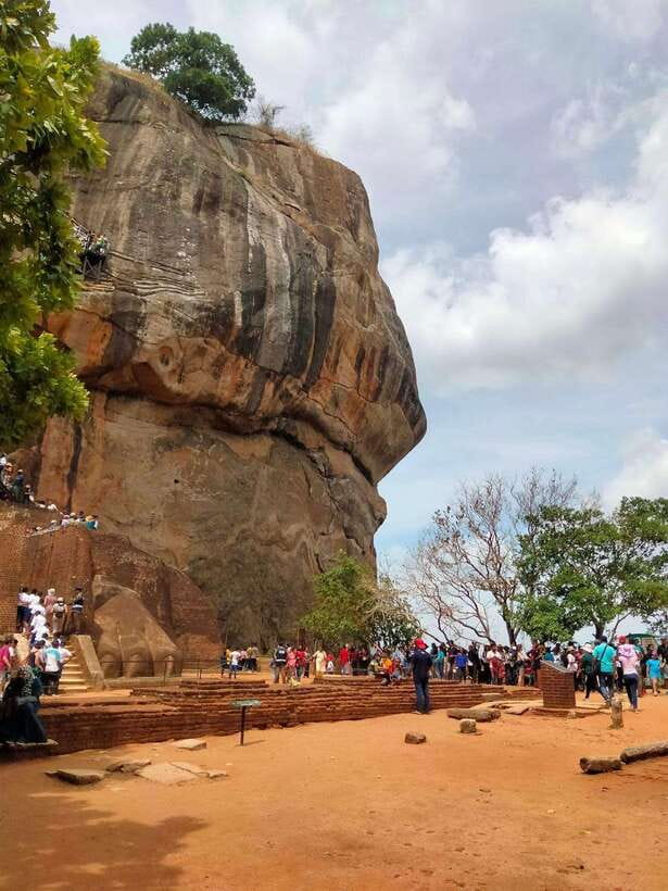 From Colombo: Sigiriya Rock, Dambulla & Minneriya 4x4 Safari - Key highlights to know before you go