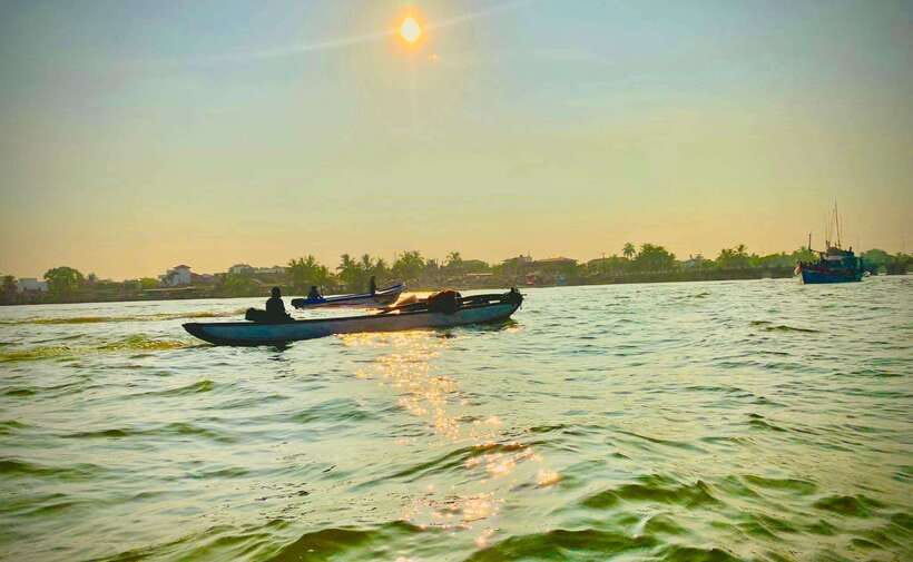 From Colombo to Galle Fort and Jungle Beach Day Trip - Madhu River Safari: Mangroves, Birds, and the Slow Boat Energy