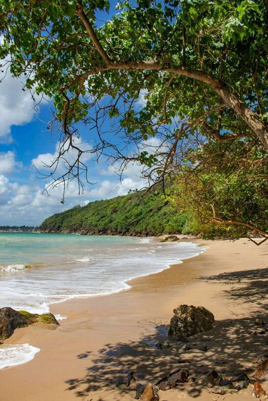 From Colombo to Galle Fort and Jungle Beach Day Trip - Jungle Beach: Your Calm Finish by Clear Water and Jungle Trees