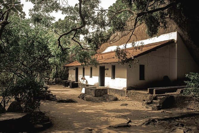 From Colombo to Sigiriya Fortress, Dambulla & Minneriya Safari - Minneriya Safari by 4x4: elephants, timing, and the one cost you must plan for