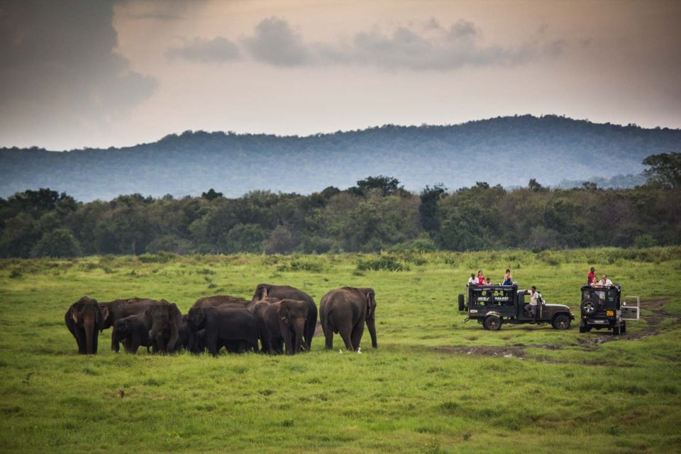 From Colombo: Udawalawa Safari & Elephant Transit Home Tour - Quick practical tips before you go