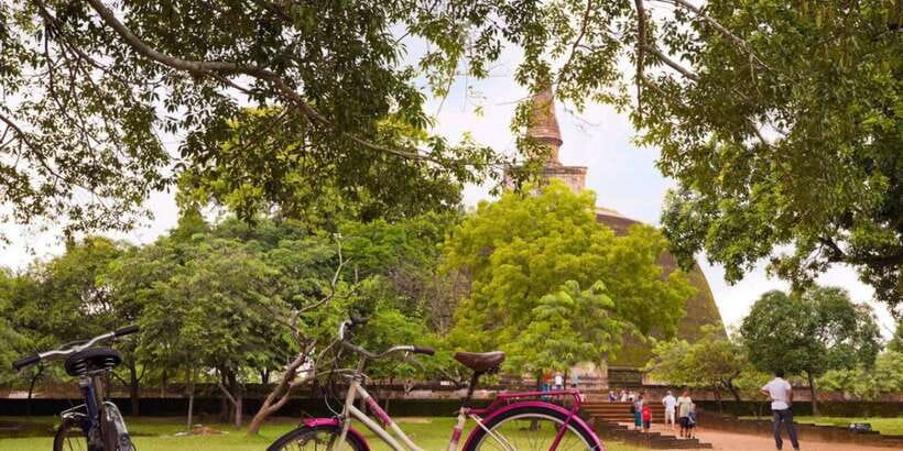 From Dambulla/ Sigiriya: Ancient City of Polonnaruwa by Bike - Key Things to Know Before You Ride Polonnaruwa