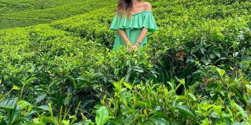 From Ella :All-Inclusive Day Trip to Experience Ella Heights - Flying Ravana Mega Zipline: the thrill add-on that costs extra