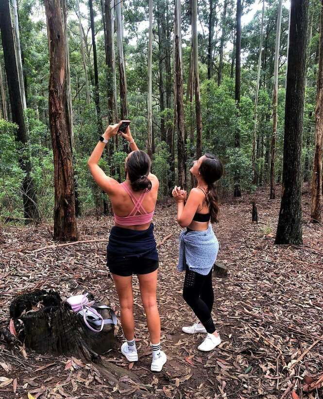 From Ella- All Inclusive Day Trip to Experience Ella & Train - Ella Rock and the viewpoint grind: plan your legs