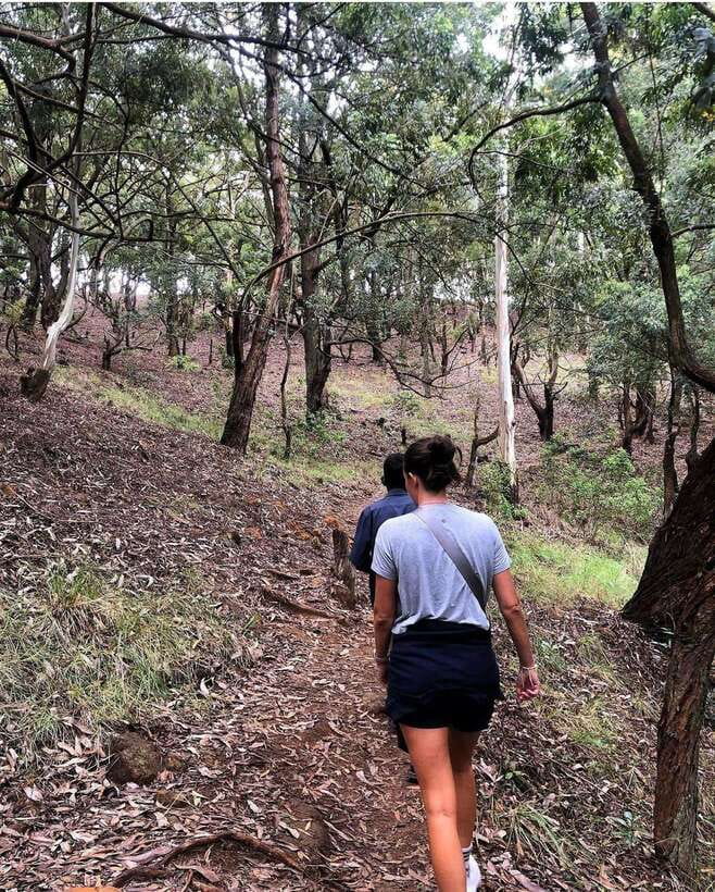 From Ella- All Inclusive Day Trip to Experience Ella & Train - The Demodara railway loop and Nine Arch Bridge train moment