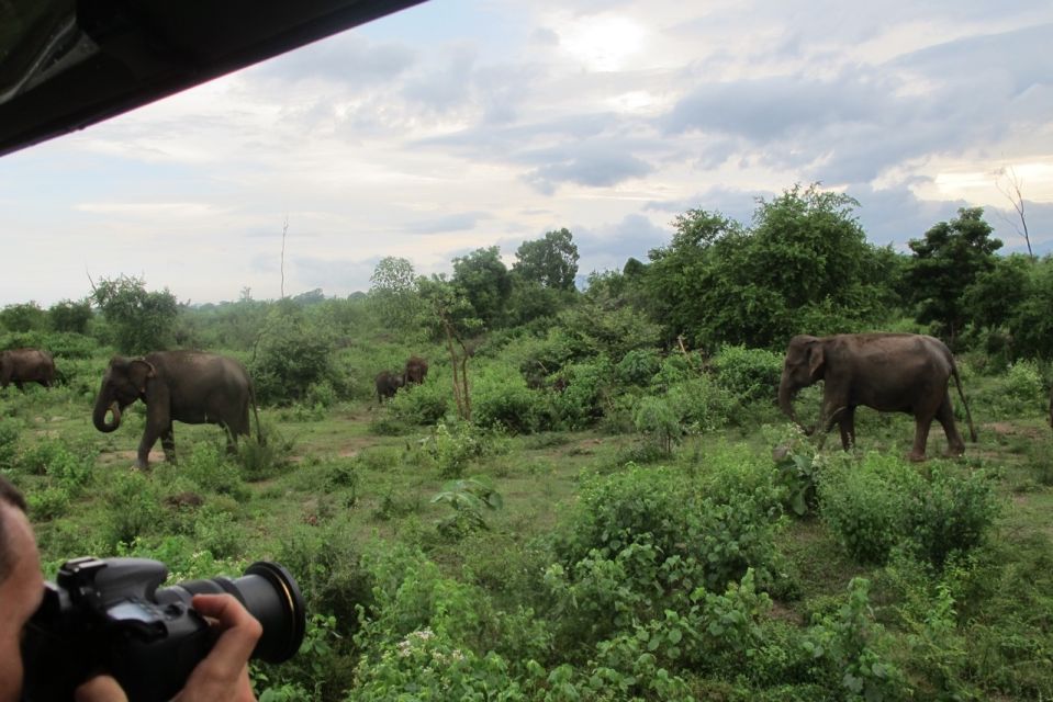 From Ella: All Inclusive Udawalawe National Park Safari - Photo stop, park entry, and how the day rhythm usually works