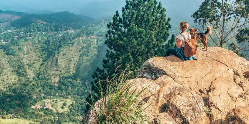 From Ella - All Inclusive Unforgettable Day Trip Tour - Demodara Loop viewpoint and the rail obsession moment