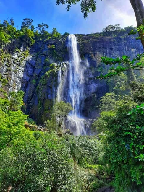 From Ella: Diyaluma Waterfall and Natural Pool Bath Tour - Key things that make this tour work well