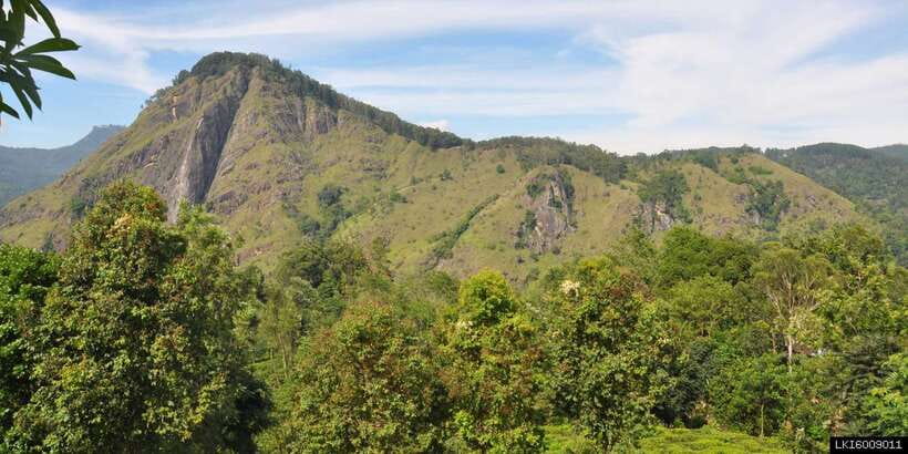 From Ella: Little Adam’s Peak and Nine Arches Bridge Hiking - Why This Morning Route Fits Ella So Well
