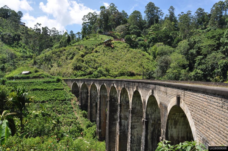 From Ella: Little Adam’s Peak and Nine Arches Bridge Hiking - Walking to Nine Arches Bridge: Woodland Steps to a British-Era Viaduct