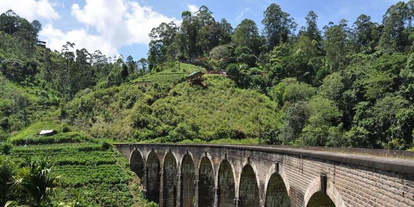 From Ella: Little Adam’s Peak and Nine Arches Bridge Hiking - Lunch and Refreshments: Small Inclusions That Add Real Value