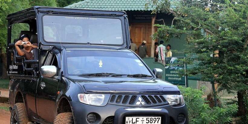 From Ella: Shuttle to Tangalle/Hiriketiya w Udawalawe Safari - Udawalawe Safari in an Open Jeep: What You’ll Actually See