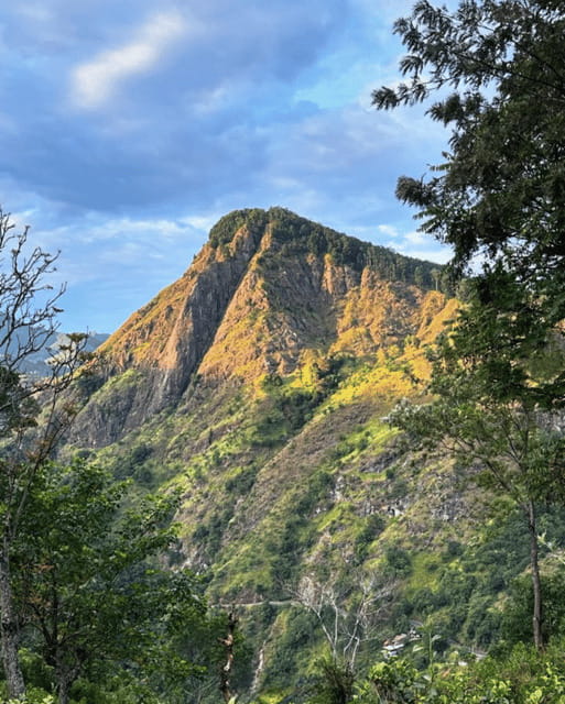 From Ella : Sunrise Hike to Little Adams Peak - Should you book this Little Adam’s Peak sunrise hike?