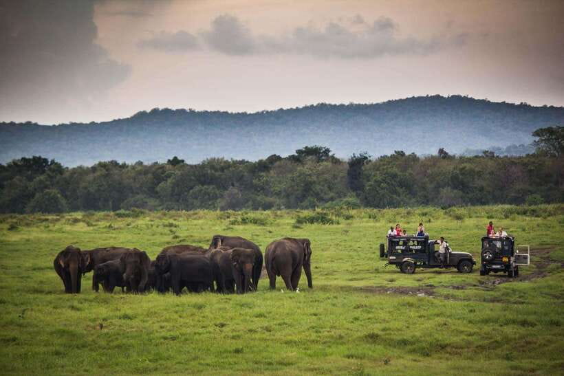 From Ella: Udawalawa Safari and Tangalle/Hiriketiya Transfer - Who This Tour Fits Best (and Who Might Want a Different Plan)
