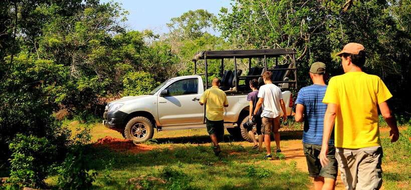 From Ella: Udawalawa Safari and Tangalle/Hiriketiya Transfer - Pickup in the Ella Area, Then Straight to the Park